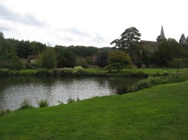 Church Pond, Hascombe